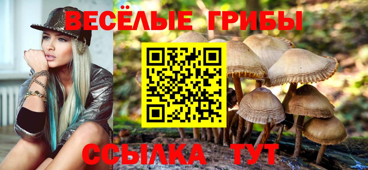 Галлюциногенные грибы мухоморы Ялуторовск