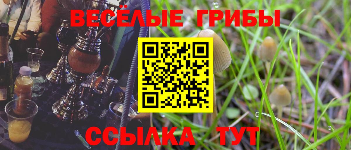 Ялуторовск  Псилоцибиновые грибы мухоморы  Вход с VPN 